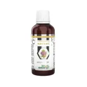 B&M Research Liposomalna Szczeć Pospolita Ekstrakt 50 ml PROMOCJA!