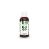 B&M Research Liposomalna Zielona Herbata 50 ml