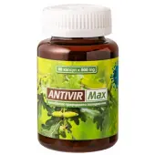 Antivir max 60 kapsułek