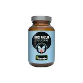 Hanoju Koci Pazur Vilcacora 400 mg 90 kapsułek